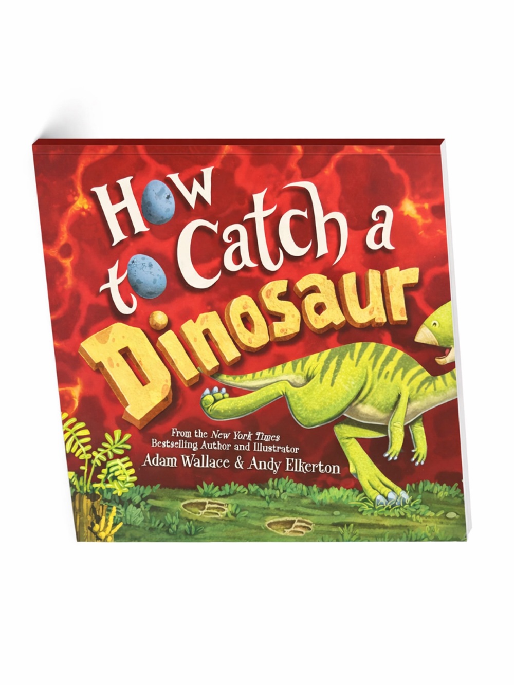 How to Catch a Dinosaur Book - NEW